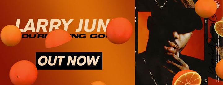 83940796 10158310500548641 8738534400242745344 N