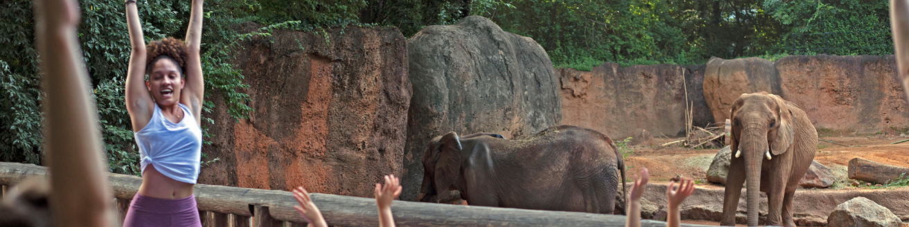 Screen Shot 2020 02 26 At 2.32.13 PM