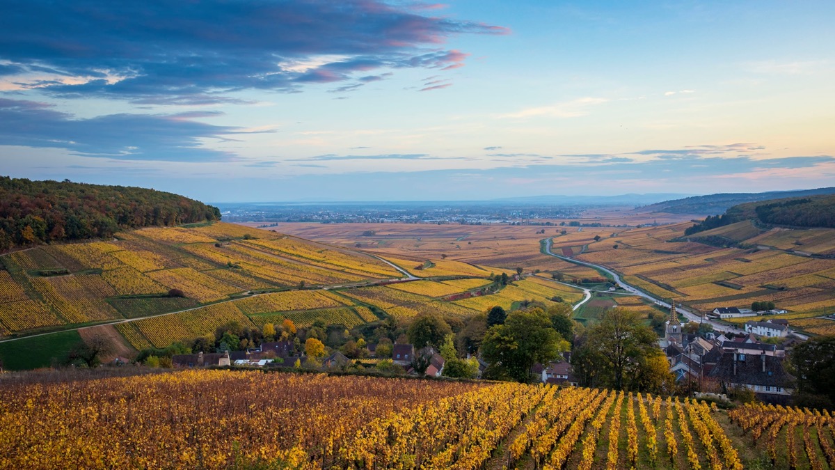 71182874 2577967125574794 5383405707812929536 O