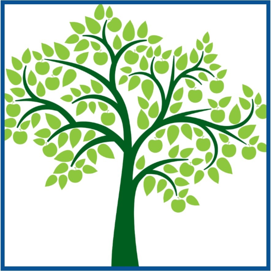 Genealogy Tree Pic