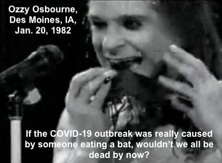 537648f72865fb6dbd2d0dfbae7be1ff Ozzy Osbourne Bat Des Moines Iowa Copy