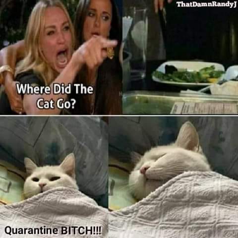 Quarantine B1tch!