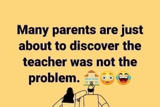 Teachers Nottheproblem