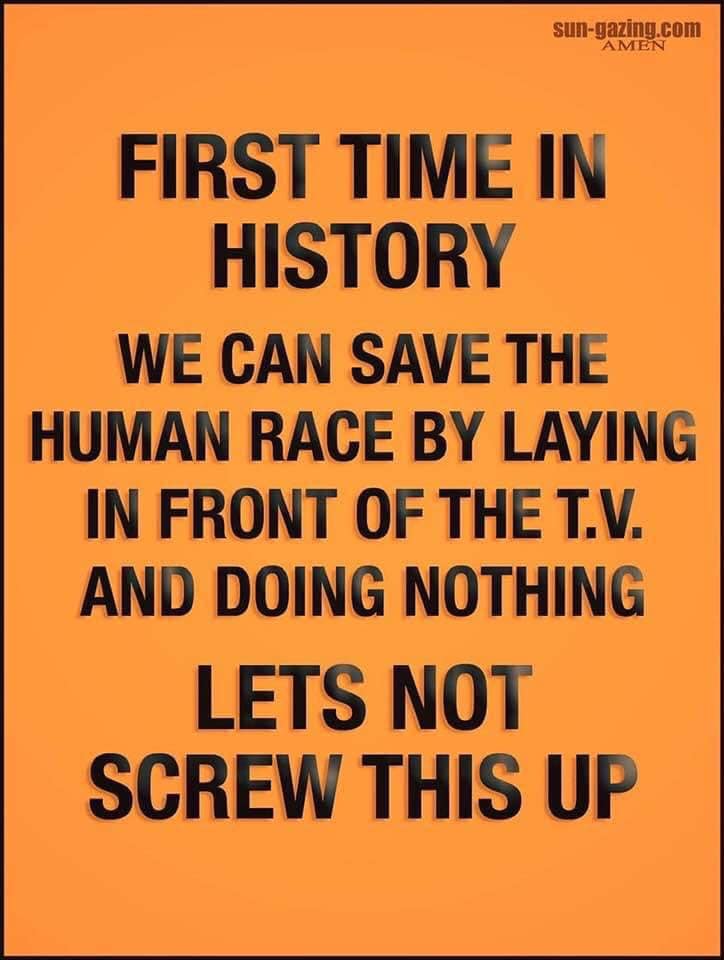 90081709 10223034419355007 4320138875256176640 N
