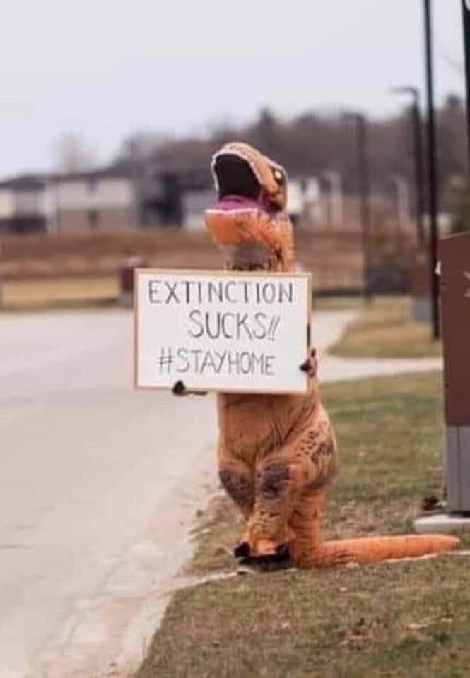 91099263 10217212706334528 2614434120213725184 N