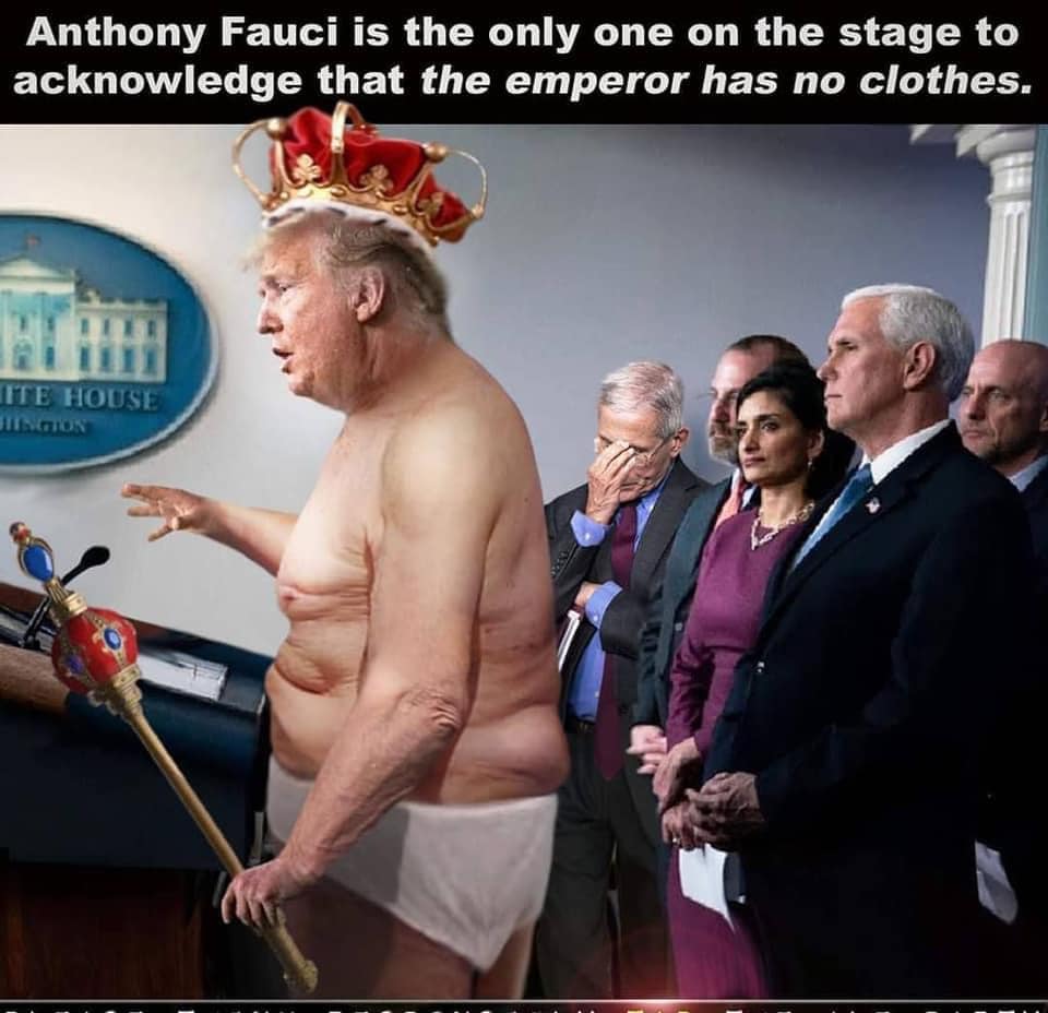 90853474 10219855201164155 2277173045950939136 N