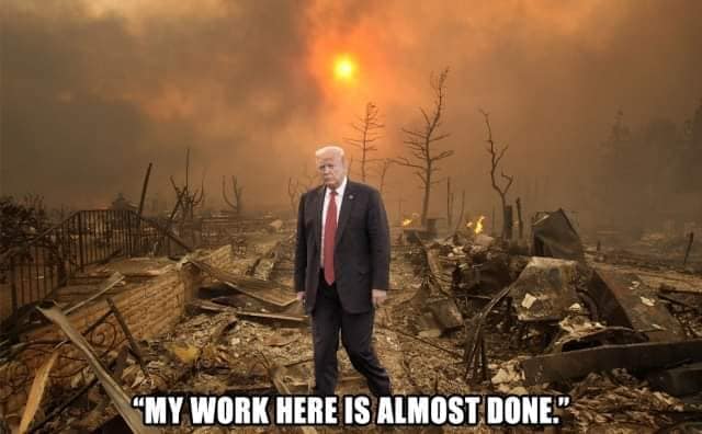 TRUMP Zva 91337223 10158368551930844 7096500267620761600 N