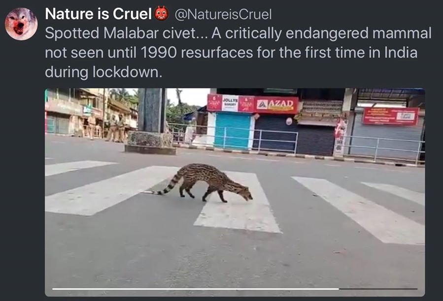 91433932 10156882055061604 6946689231355904000 O