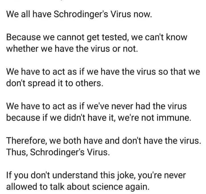 91716660 10215635245294897 9067731875270754304 N