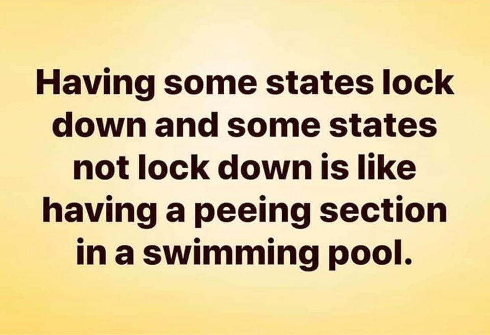 91762781 835237326881777 340125585520984064 O