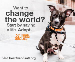 200256 Update 7003 Concept For ATL 300x250 LC2 (1)