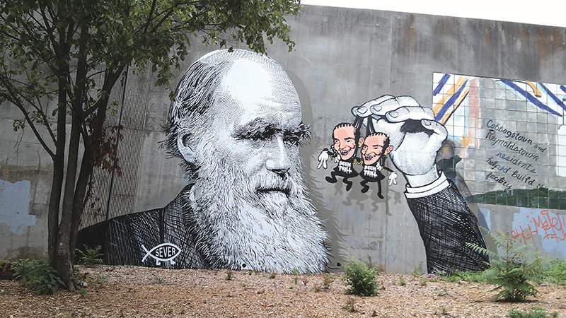 01 Wylie Near Carroll Cabbagetown 2 Sever Res