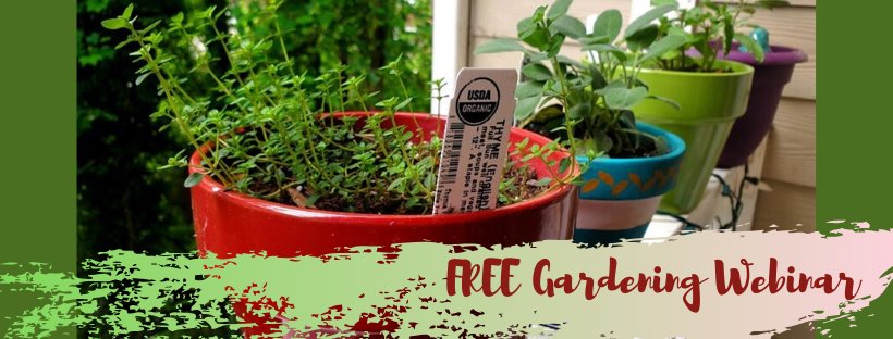 97949117 1206562423019466 6265264460500303872 N