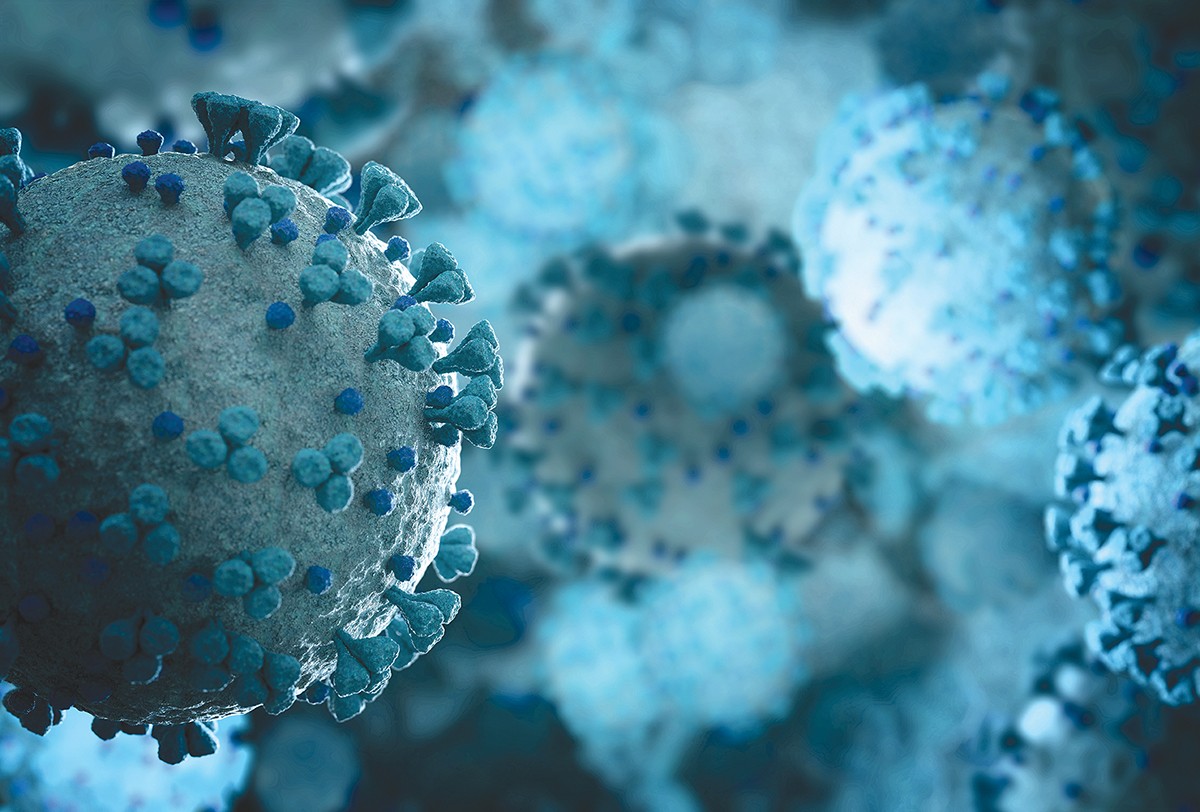 Shutterstock 1687276735 Web