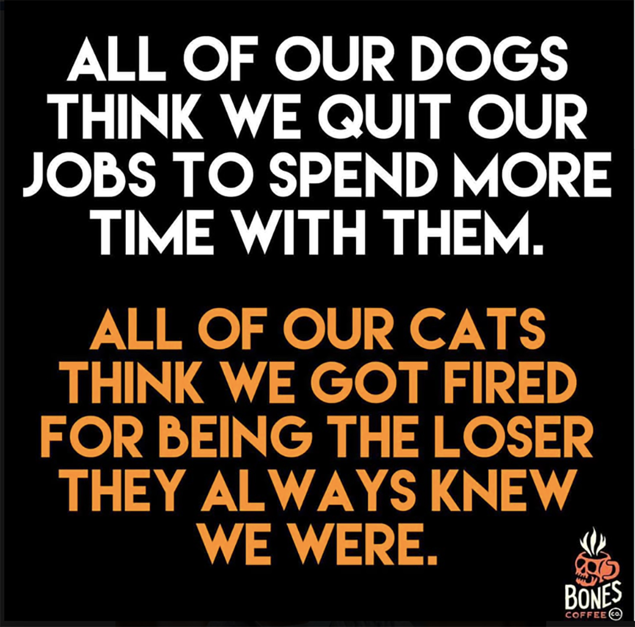 Cats And Dogs