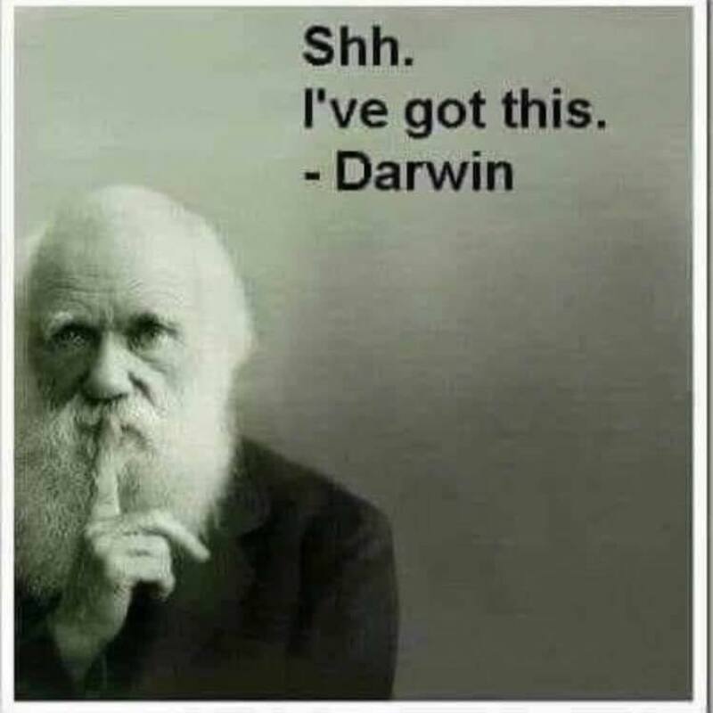 Darwin 2 Copy