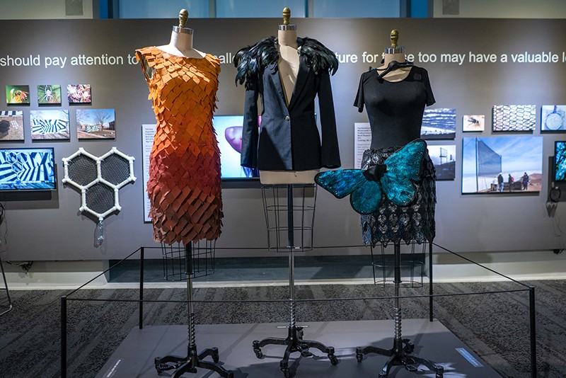 MODA: 'Learning From Nature': Dress Designs by Birce Özkan. Courtesy of MODA.