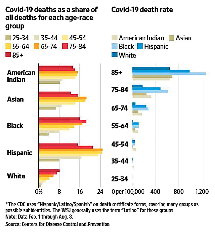 8 17 2020 Age & Ethnicity Chart