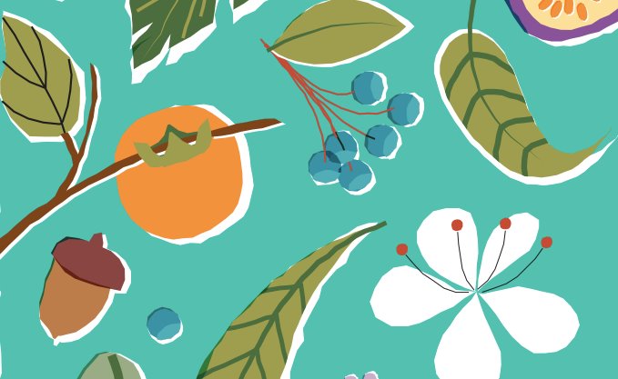 118626909 3402166953174484 6487000849633906741 N