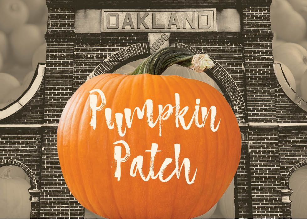 Pumpkin Sale Feature Image
