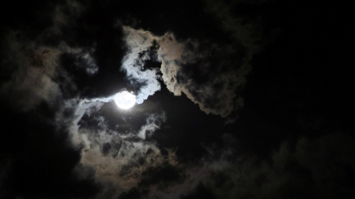 Ghost Hunting 101 HP