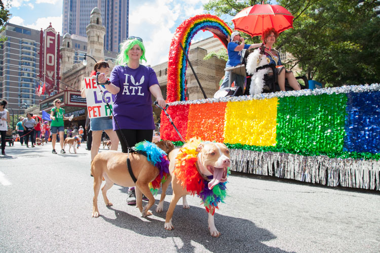 Dogs parade for Fenuxe ATL.