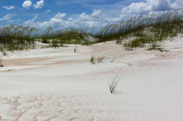 Courtesy Florida State Parks