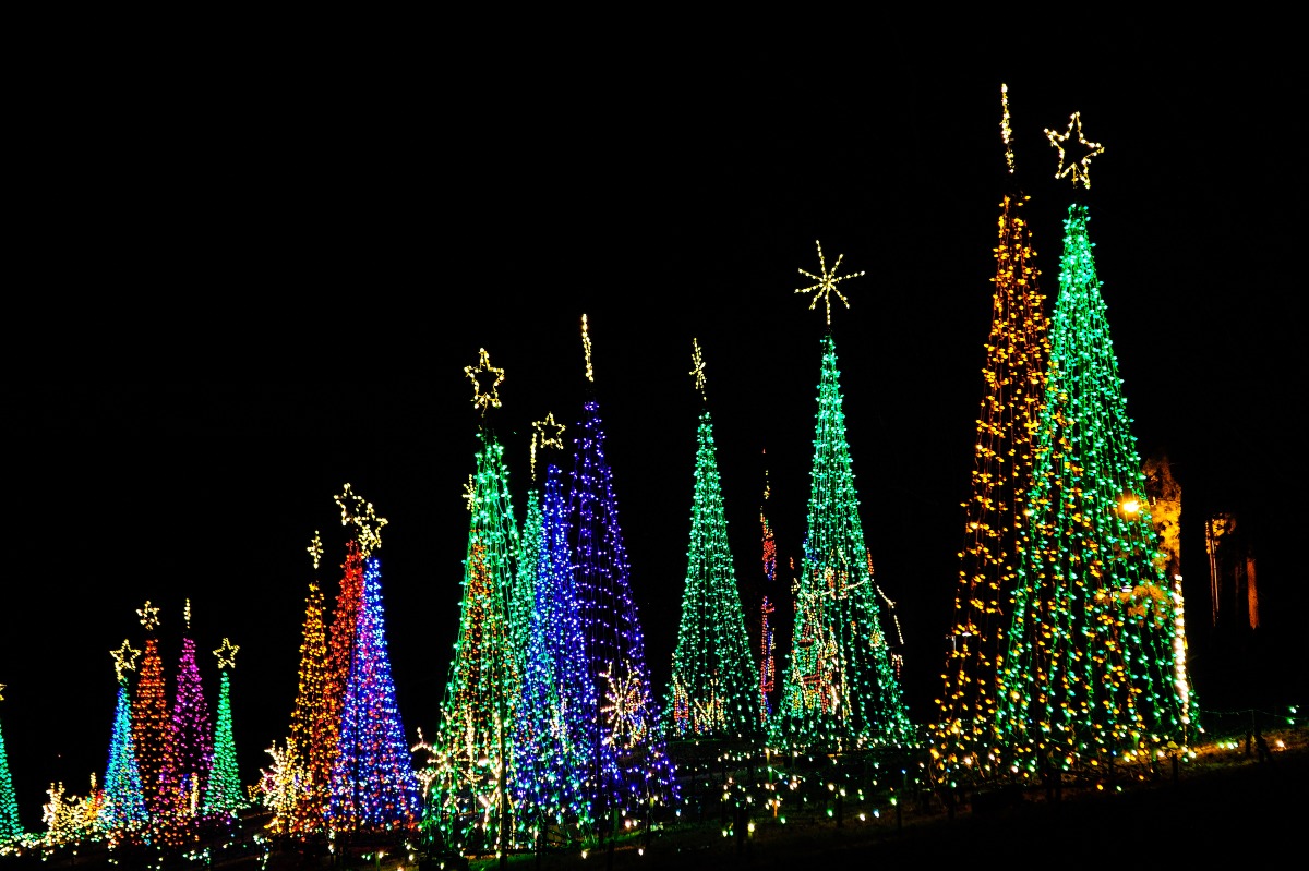 Lights Of LIFE 2019 Photo Small