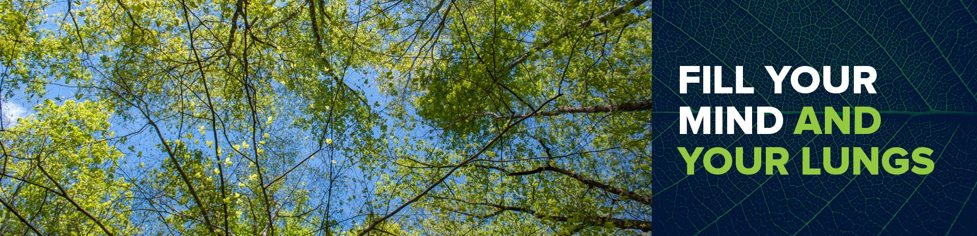 Fernbank Fillyourmindandlungs V2 Subpagemarquee