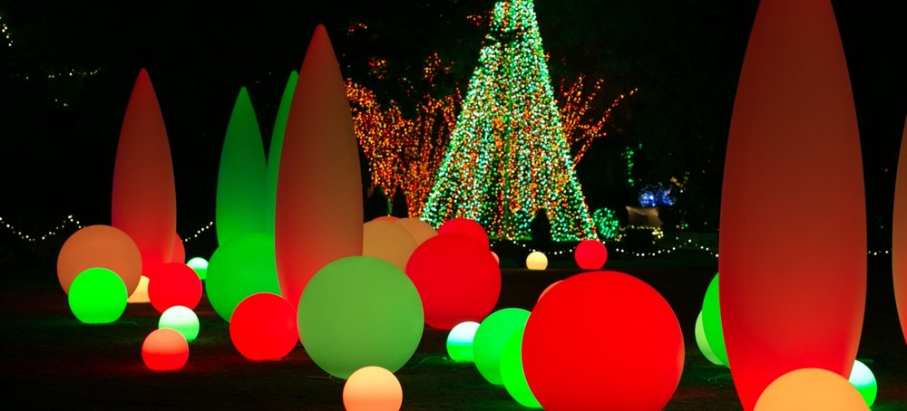 111214 Garden Lights 0537