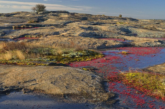 Arabia Mountain