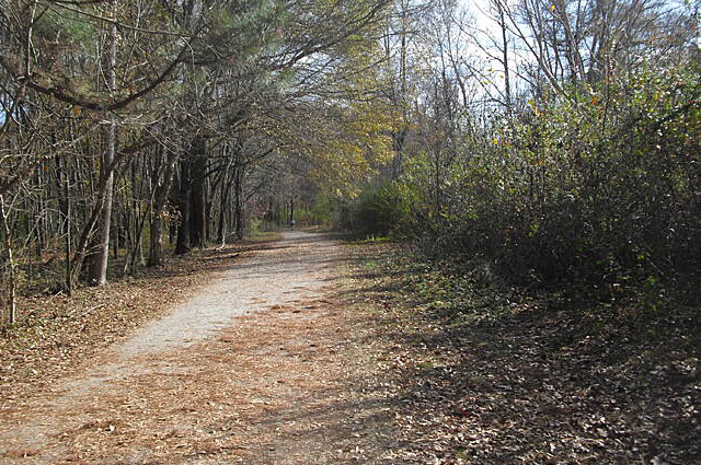 Cochran Shoals Trail