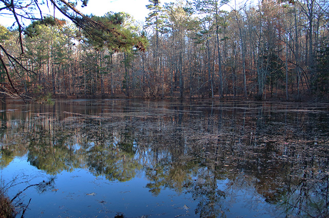 Sope Creek Trail