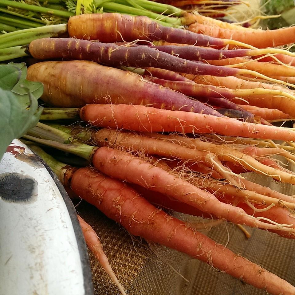 140064204 1709851829183474 8851671614404678850 N