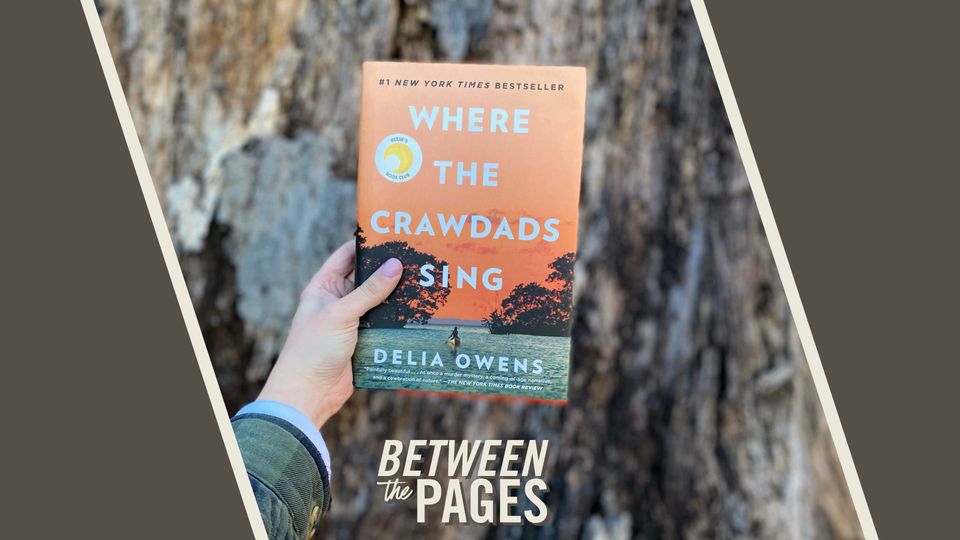 135740737 10157567271912657 6958089675798070671 O