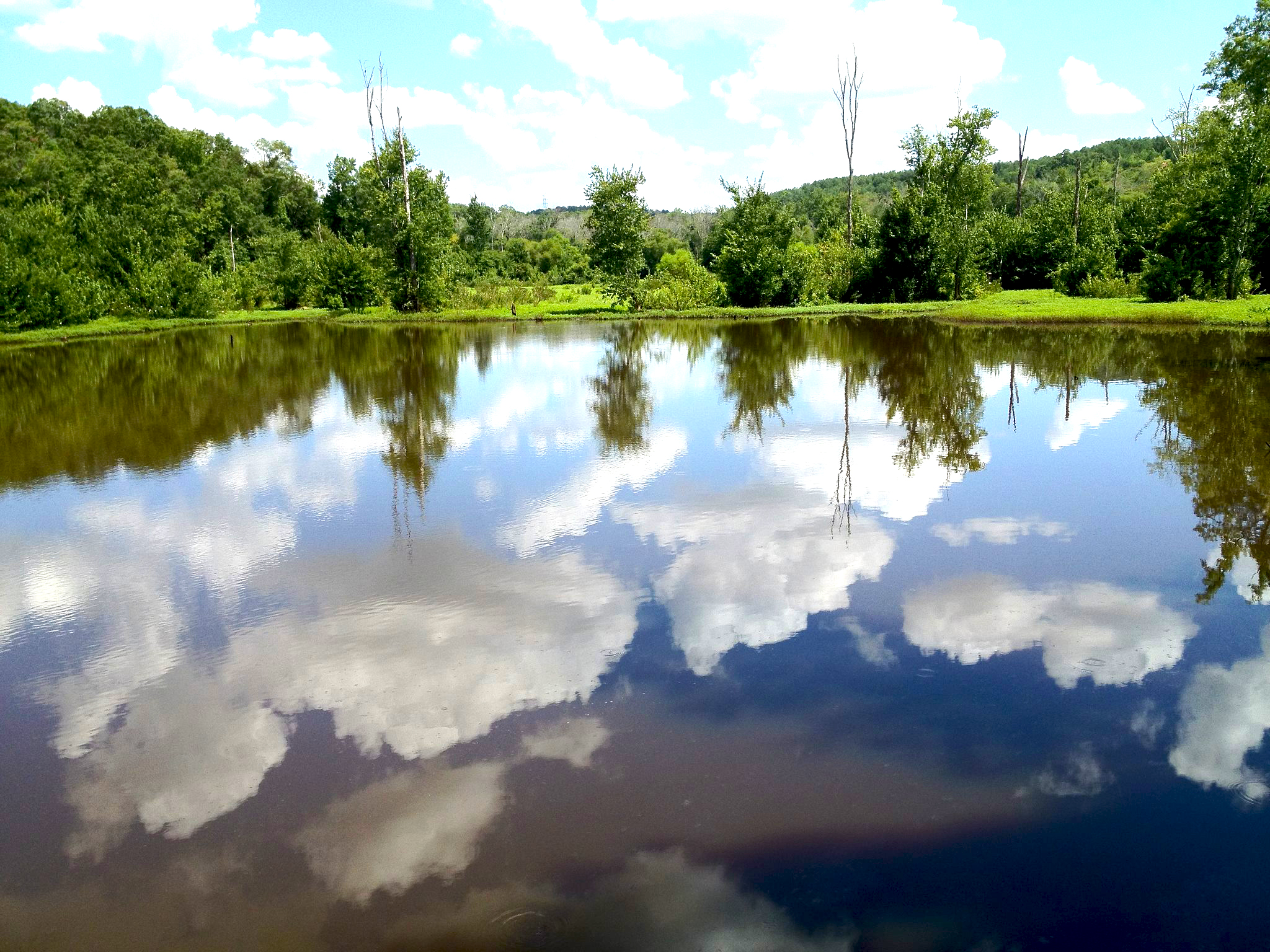 Constitution Lake Park