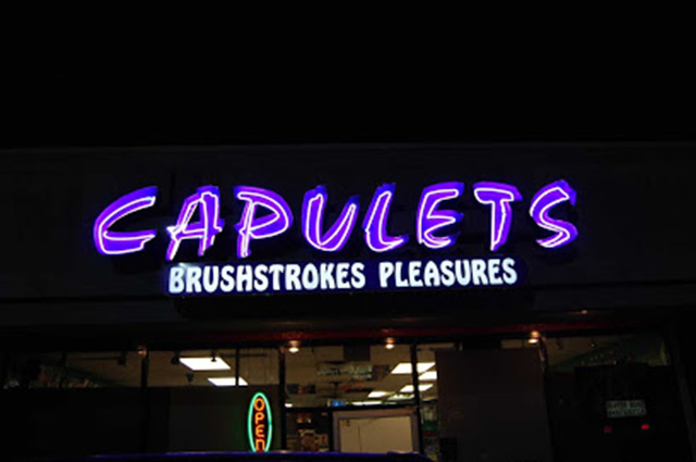 Brushstrokes Pleasures