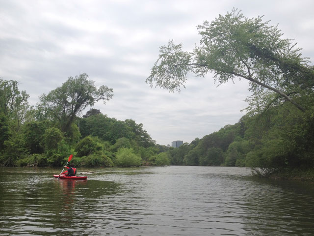 Cover Trips3 1 0302 H1