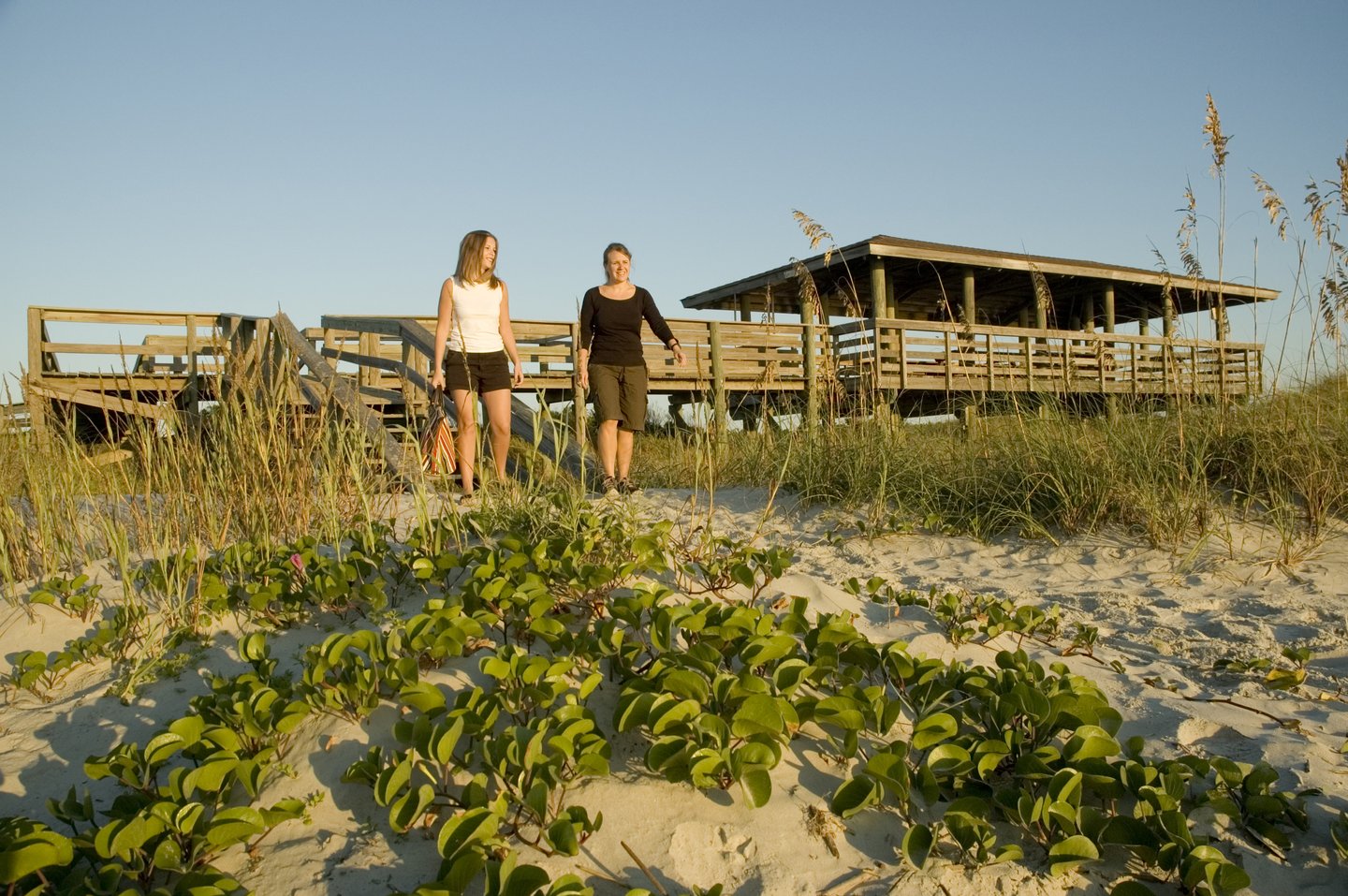 Courtesy GA State Parks