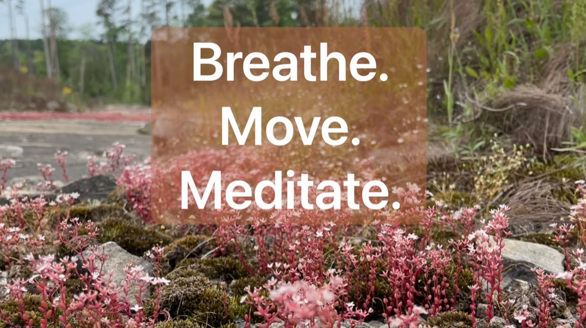 1B70131D 9D7F 4C94 BB6E 2BE0BA8217A2