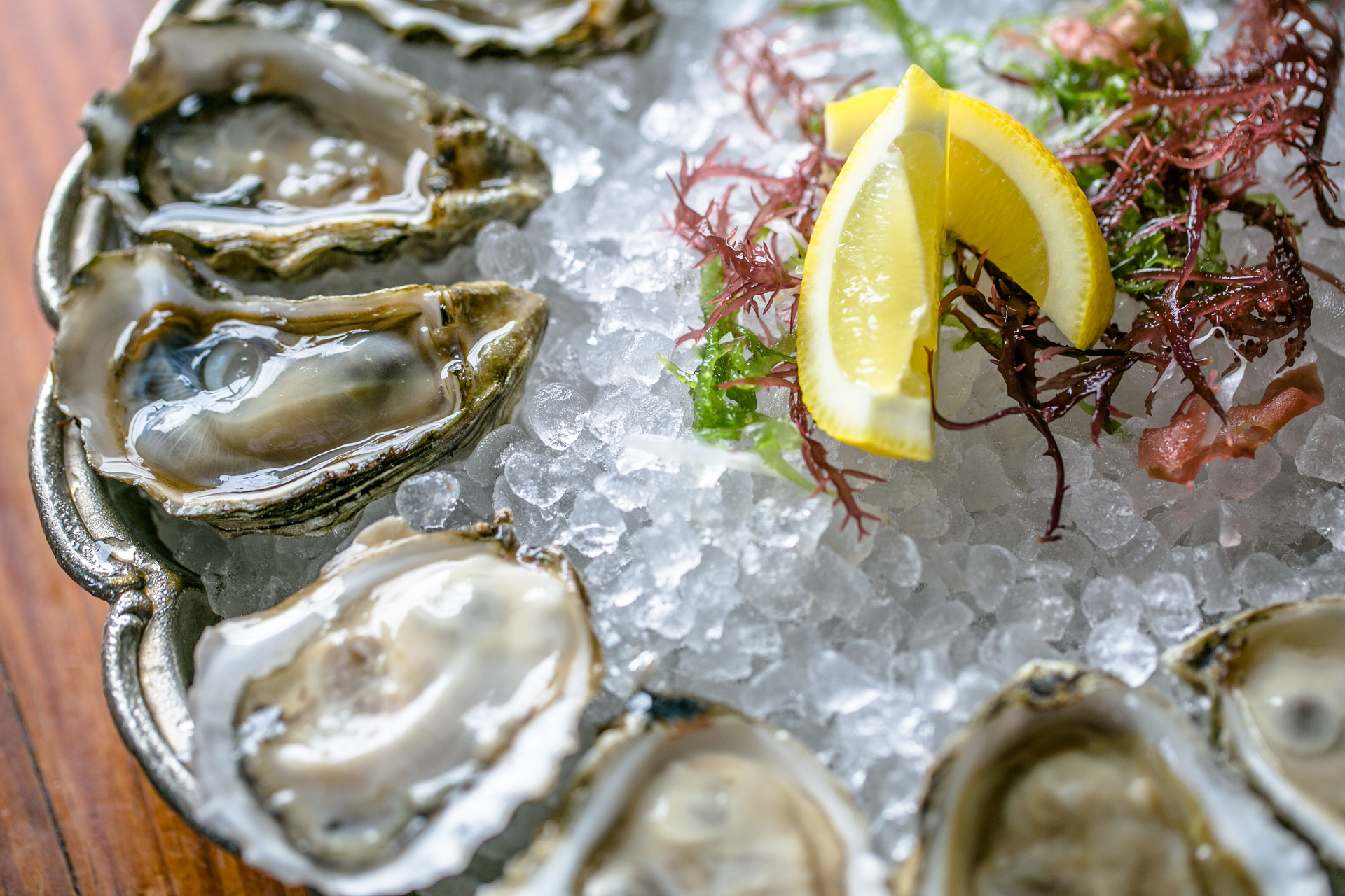 Kimball House Oysters EM 2.57daec217f71e