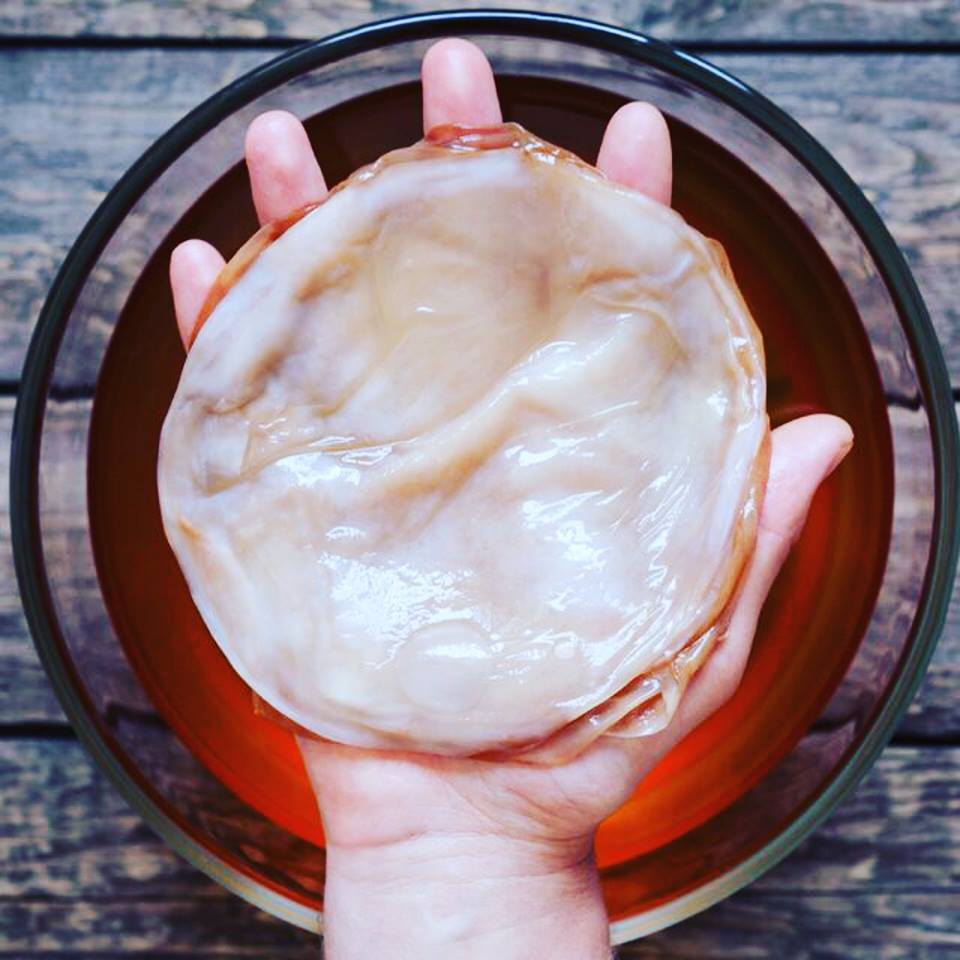SCOBY