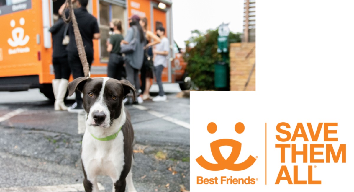 Screen Shot 2021 07 02 At 11.29.36 AM