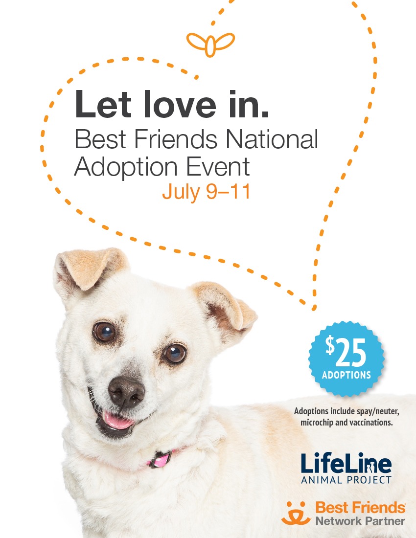 BF National Super Adoption Small Dog