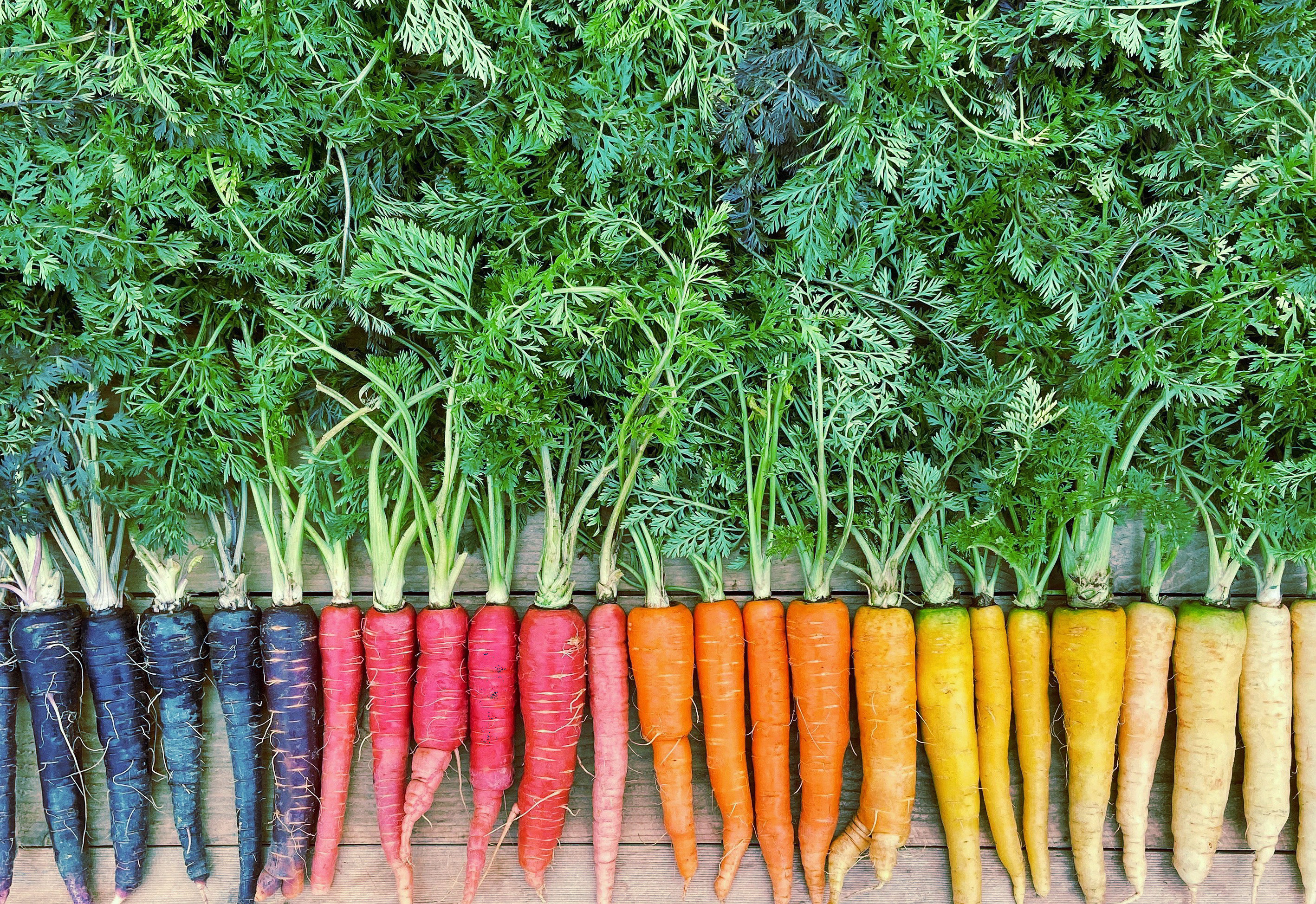 Rainbow Carrots Copy