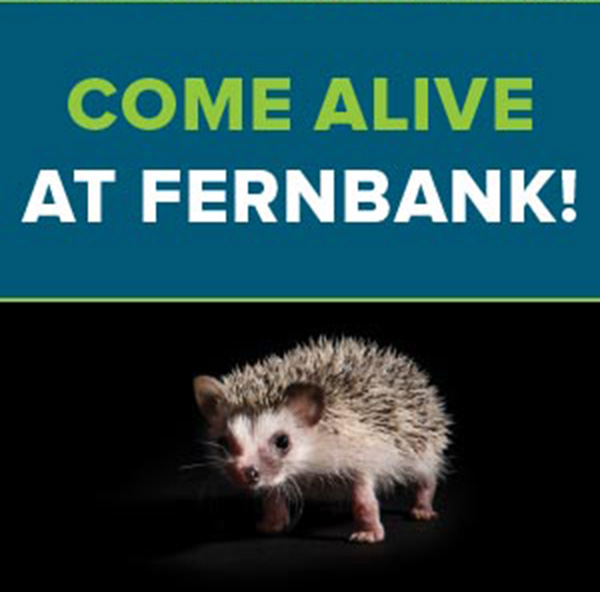 Fernbank