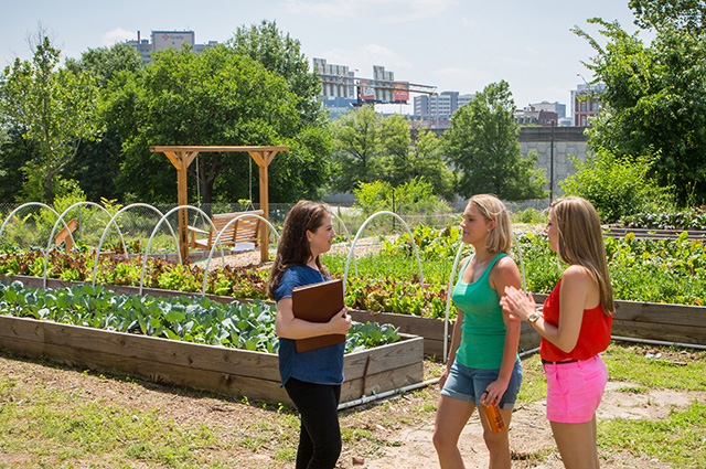 Turner Environmental Law Clinic