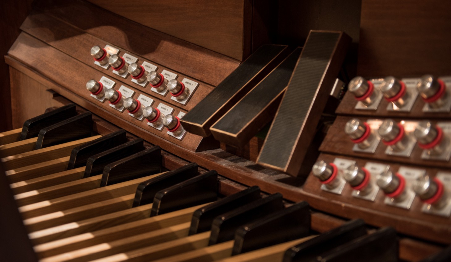 Organweb