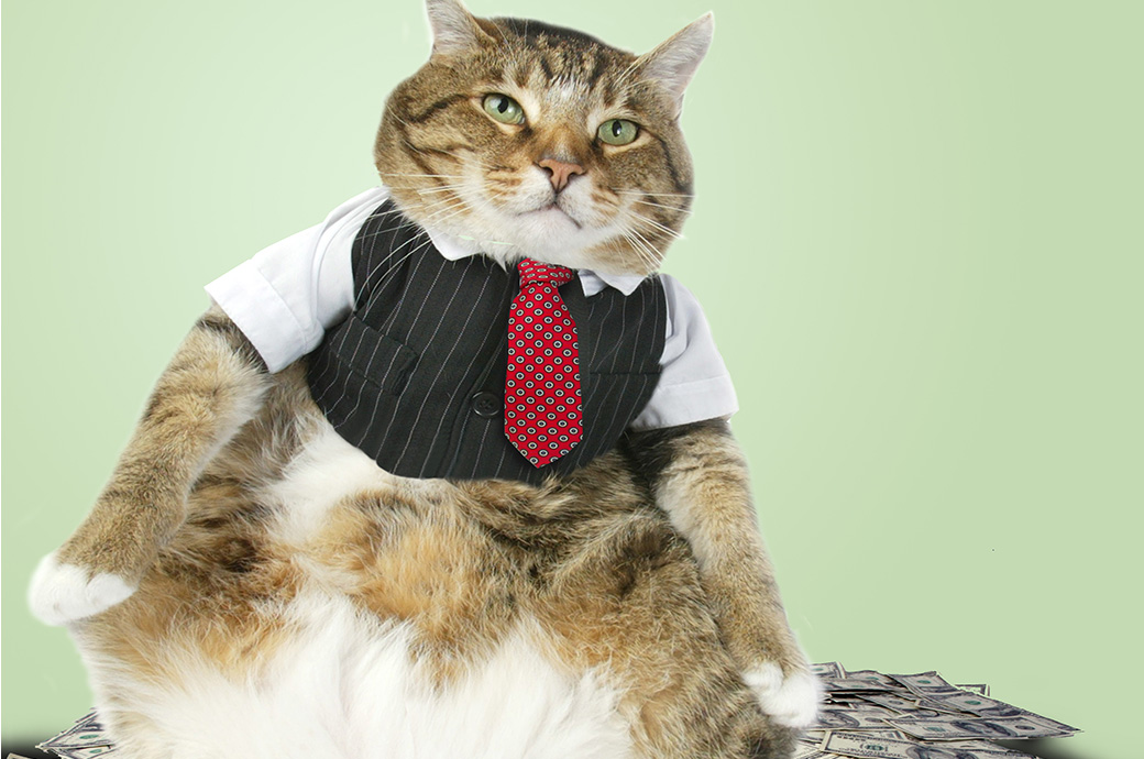 CL File. 2005 Cover Story on Fat Cats. 