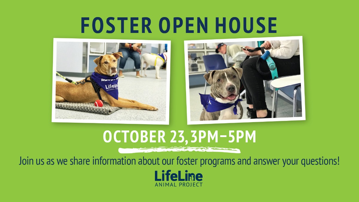 Foster Open House FB Graphic